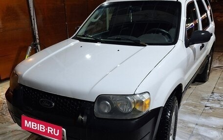 Ford Escape II, 2004 год, 450 000 рублей, 1 фотография
