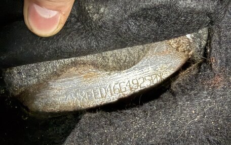 Ford Focus II рестайлинг, 2006 год, 560 000 рублей, 23 фотография