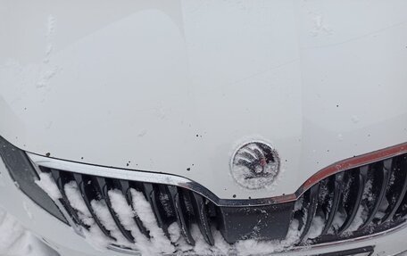 Skoda Octavia, 2019 год, 1 450 000 рублей, 10 фотография