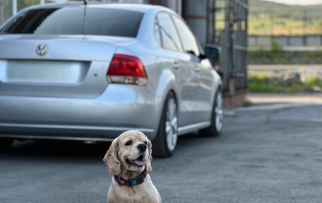 Volkswagen Polo VI (EU Market), 2010 год, 950 000 рублей, 9 фотография