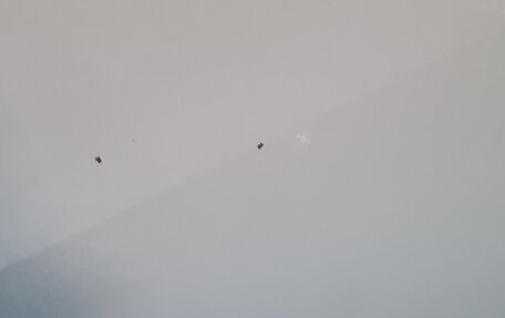 Mercedes-Benz A-Класс, 2013 год, 1 450 000 рублей, 4 фотография