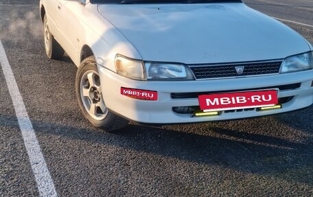 Toyota Corolla, 1995 год, 255 000 рублей, 1 фотография