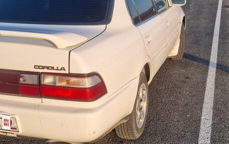 Toyota Corolla, 1995 год, 255 000 рублей, 5 фотография