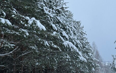 Audi TT, 2016 год, 3 400 000 рублей, 12 фотография