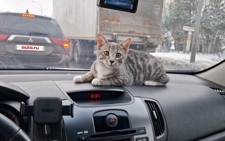 KIA Cerato III, 2010 год, 550 000 рублей, 3 фотография