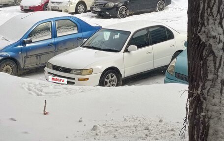 Toyota Corolla, 1992 год, 215 000 рублей, 3 фотография