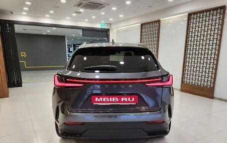 Lexus NX, 2026 год, 4 фотография