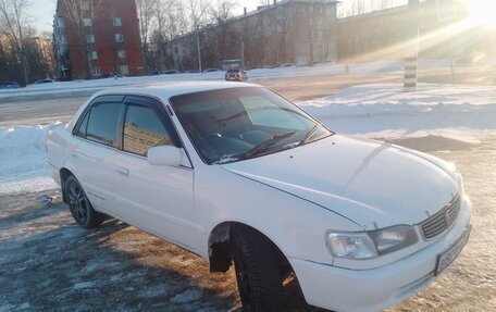 Toyota Corolla, 1999 год, 370 000 рублей, 2 фотография