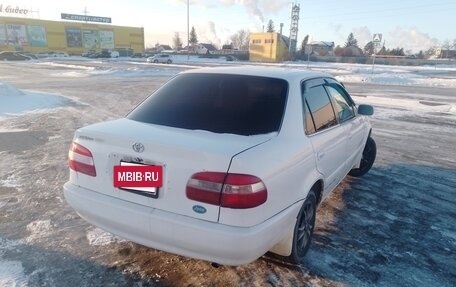 Toyota Corolla, 1999 год, 370 000 рублей, 3 фотография