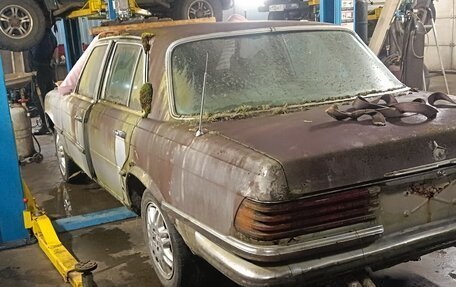 Mercedes-Benz S-Класс, 1979 год, 50 000 рублей, 1 фотография