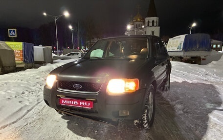 Ford Escape II, 2002 год, 360 000 рублей, 1 фотография
