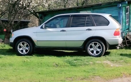 BMW X5, 2003 год, 1 250 000 рублей, 5 фотография