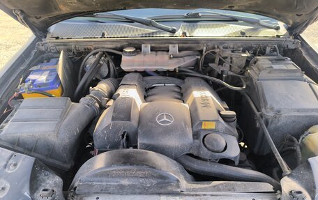 Mercedes-Benz M-Класс, 2000 год, 600 000 рублей, 4 фотография