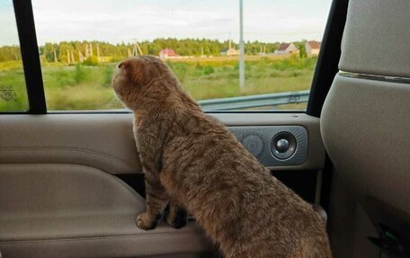 Lincoln Navigator, 2019 год, 5 555 555 рублей, 40 фотография