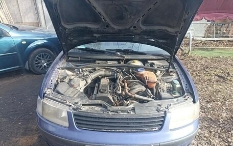 Volkswagen Passat B5+ рестайлинг, 1998 год, 220 000 рублей, 2 фотография