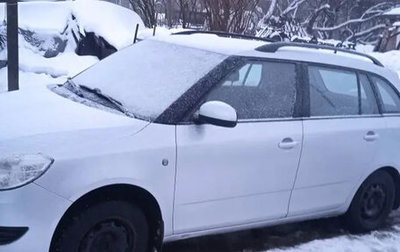 Skoda Fabia II, 2011 год, 550 000 рублей, 1 фотография