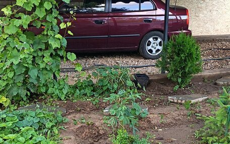 Hyundai Accent II, 2008 год, 510 000 рублей, 3 фотография