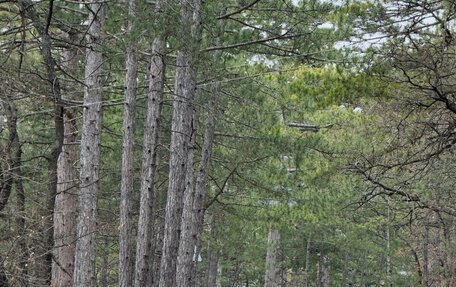 Land Rover Range Rover Evoque II, 2021 год, 4 850 000 рублей, 20 фотография