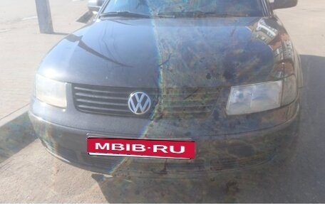 Volkswagen Passat B5+ рестайлинг, 2000 год, 380 000 рублей, 1 фотография