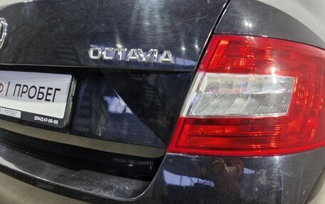 Skoda Octavia, 2016 год, 800 000 рублей, 7 фотография