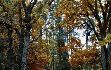 Audi 80, 1988 год, 180 000 рублей, 4 фотография
