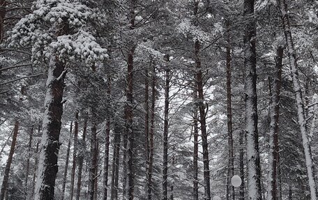 Opel Meriva, 2013 год, 950 000 рублей, 5 фотография