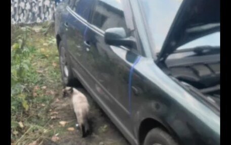 Volkswagen Passat B5+ рестайлинг, 1997 год, 325 000 рублей, 8 фотография