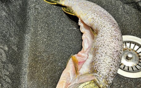 KIA Rio III рестайлинг, 2012 год, 489 000 рублей, 9 фотография