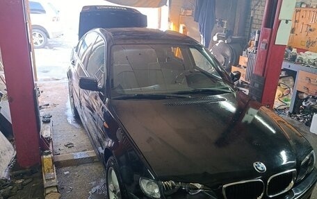 BMW 3 серия, 2004 год, 1 фотография