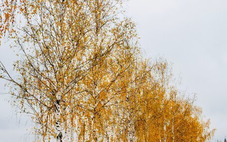 BMW 3 серия, 2001 год, 1 600 000 рублей, 5 фотография