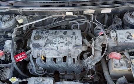 Toyota Corolla, 2002 год, 499 000 рублей, 33 фотография