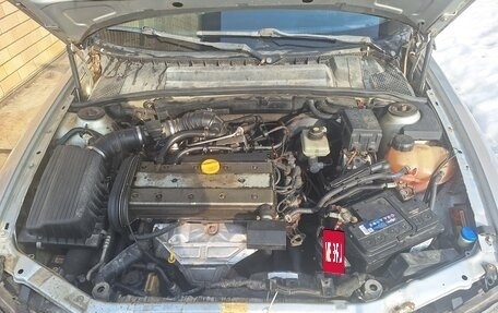 Opel Vectra B рестайлинг, 2000 год, 290 000 рублей, 9 фотография