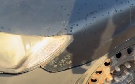 Honda Civic VIII, 2008 год, 350 000 рублей, 5 фотография