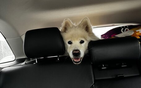 KIA Sorento III Prime рестайлинг, 2017 год, 2 500 000 рублей, 6 фотография