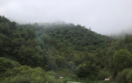 Nissan Cedric IX, 1995 год, 599 999 рублей, 3 фотография