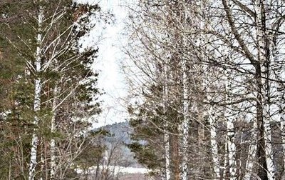 Chevrolet Aveo III, 2007 год, 315 000 рублей, 1 фотография