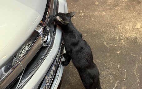 Opel Astra H, 2008 год, 650 000 рублей, 7 фотография