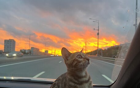 Toyota Prius IV XW50, 2018 год, 2 250 000 рублей, 26 фотография