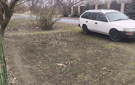 Toyota Corolla, 2000 год, 230 000 рублей, 1 фотография