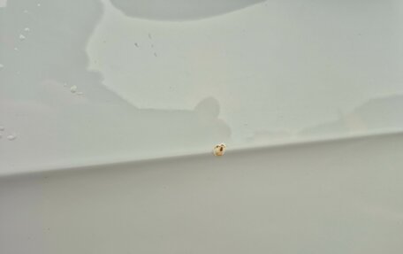 Volkswagen Golf VII, 2014 год, 800 000 рублей, 20 фотография