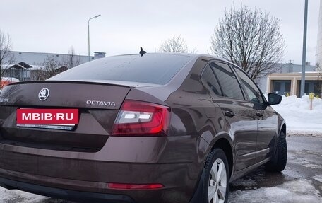 Skoda Octavia, 2017 год, 2 100 000 рублей, 4 фотография