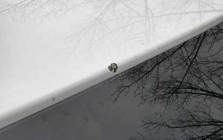 Renault Duster I рестайлинг, 2019 год, 1 300 000 рублей, 24 фотография