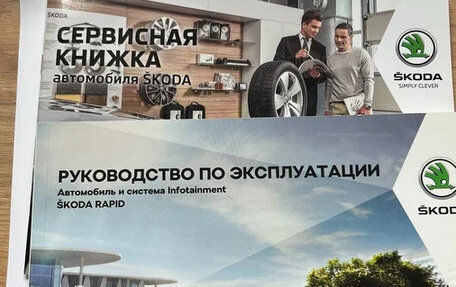 Skoda Rapid I, 2018 год, 1 300 000 рублей, 25 фотография