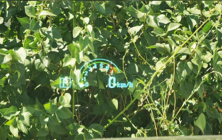 Chevrolet Camaro IV, 2014 год, 3 999 999 рублей, 16 фотография