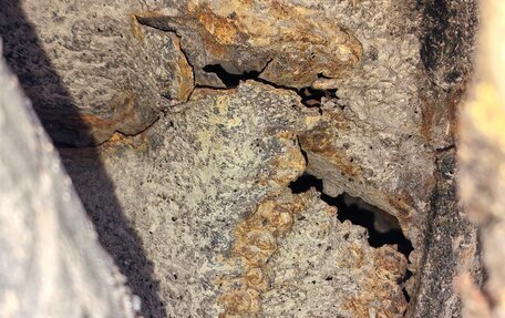 Mazda Demio III (DE), 2001 год, 59 000 рублей, 10 фотография