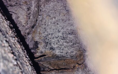 Mazda Demio III (DE), 2001 год, 59 000 рублей, 8 фотография