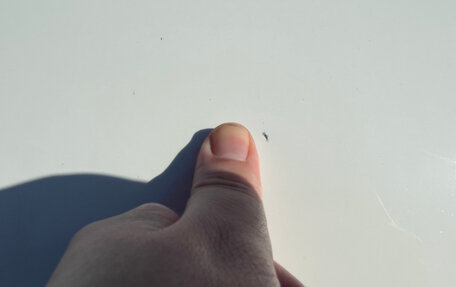 Audi A5, 2021 год, 4 600 000 рублей, 20 фотография