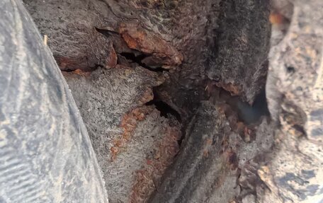 Mazda Demio III (DE), 2001 год, 59 000 рублей, 5 фотография