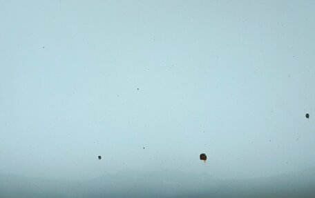 Volkswagen Golf Plus I, 2008 год, 480 000 рублей, 21 фотография