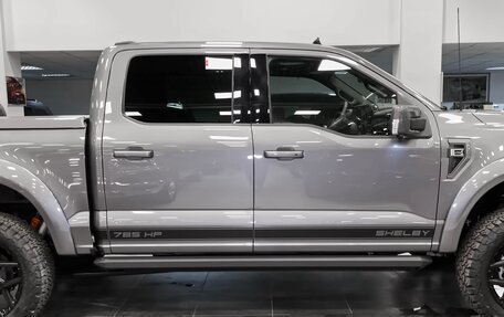 Ford F-150, 2024 год, 25 500 000 рублей, 3 фотография